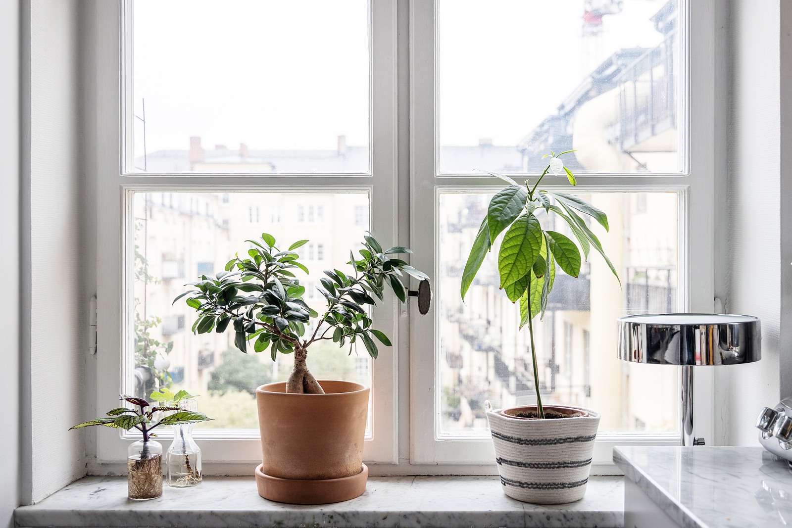 Homestyling av fönster